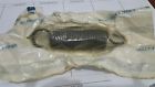 409025 Gm Nos 1968 Chevy