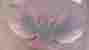 493366 General Motors Pontiac 1973-74 Trans Am Hood Eagle Factory Gm