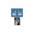 57-155951-1 Premier Quality Products Chevy Hood Hinges 1955-1956