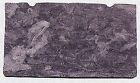Am-720 R.e Automotive Parts Amc-american