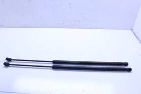 420823359-21290 Audi 2008-2015 R8 Hood Shock Strut Pair - 420823359
