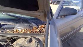 10178442 Chevrolet 1995-1998 Chevy Lumina Driver Left Hood Hinge Assembly Oem Pewter 11u