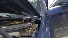 Chevrolet 118.gm1j09 Malibu 2009 Hood Hinge 3842488