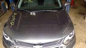 117-10057 Chevrolet Truck Local Pickup Only Hood Ingersoll Ontario Opt Ngt Fits 18-20 Equinox