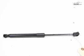 55113777ac Dodge 2011-2023 Charger Hood Bonnet Left Side Shock Strut Lift Cylinder Oem