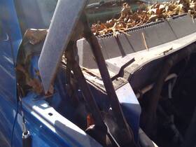 118.ch8m99 Dodge Truck Ram1500 1999 Hood Hinge 3592062