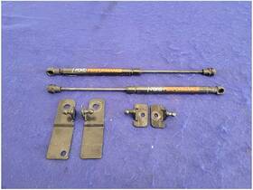 121.fd1i16 Ford 2015-2020 Mustang Shelby Gt350 5.2lpair Hood Strut Hinge Performance 2743