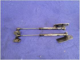 121.fd1i17 Ford 2015-2023 Mustang Gt S550 Pair Aftermarket Hood Struts Props Hinge 2741
