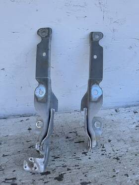 Fd59022 Ford Fd59021/fd59022 2011-2016 Super Duty F-250 F-350 Driver And Passenger Hood Hinge Set Oem