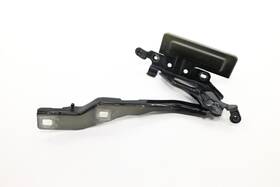 Ford Jl1b163c0a 2018 - 2024 Expedition Front Hood Right Side Hinge Oem Black El