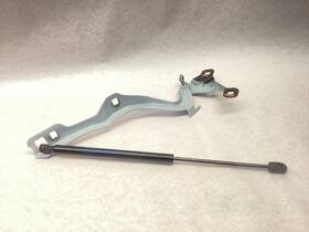 Lj8b-r1600-ad Ford 21-24 Mustang Mach E Hood Hinge Rh- With Lift Support