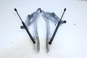 Fl34-16c827-ab Ford Truck 118.fd8119 2015-2020 F150 Xl Front Rh And Lh Hood Hinge With Lift Strut Fl34-16801-a Oem