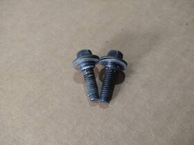 Gm 11589064 Hood Hinge Pivot Torx Bolt Set