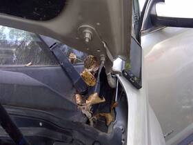 118.gm9h14 Gmc Truck Driver Left Hood Hinge Fits 14 Terrain 3755416