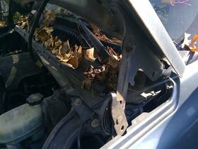 118.gm9m06 Gmc Truck Sierra150 2006 Hood Hinge 3755929