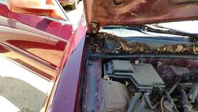 3946852 Honda 1994-1998 Accord Passenger Right Hood Hinge Assembly Oem Red