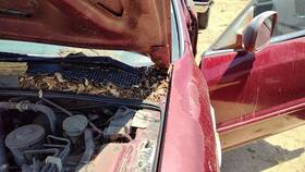 3946860 Honda 1994-1998 Accord Driver Left Hood Hinge Assembly Oem Red