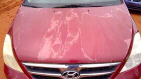 117-50150 Hyundai Hood Fits 07-10 Entourage 238439