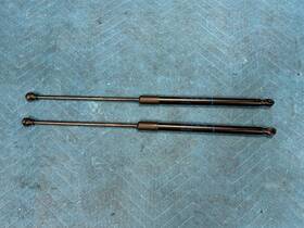 53440-0w380 Lexus Nx250 Nx350 Nx350h Nx450h Hood Shock Support Strut Rh And Lh Pair 22-25 Oem