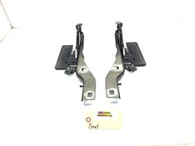 Aa1357-m032a Lincoln 2018-2024 Navigator Front Left Right Hood Bonnet Hinges Set X2 Oem