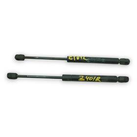 A2308800029 Mercedes-benz 03-06 Sl500 Sl600 Sl55 Sl65 R230 Hood Bonnet Lift Support Shock Lh Rh