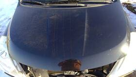 117-50162 Nissan Hood Hatchback Fits 07-12 Versa 276696