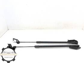 7lf0a Nissan 90451 2025-2026 Kicks Front Hood Lift Support Cylinder Strut Set X2 Oem