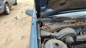 22540200 Oldsmobile 1985-1991 Olds Cutlass Calais Pair Of Hood Hinges Right Left Set Assembly Blue
