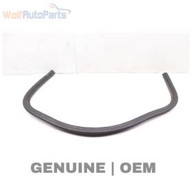 97051161200 Porsche 2010-2016 Panamera - Rear Rain Tray Seal / Firewall Weather Stripping