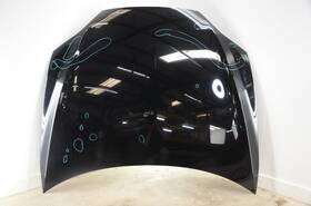 1038384-s0-c Tesla 12-16 Model S Black Front Hood Assembly