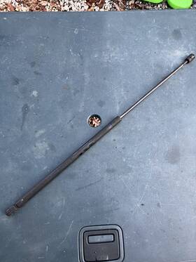 1c0823359d Volkswagen 1998-2010 Beetle Hood Support Strut Shock - 1c0823359