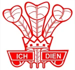Welsh 3 Feathers Large Vinyl Sticker Car Van Lorry Window Decal Bonnet Cymru. Fixed Price $21.42.