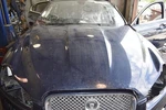 2009-2011 Jaguar Xf X250 Blue Hood Bonnett. Fixed Price $634.79.