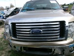 Grille Upper Hood Mounted Chrome Surround Fits 10-12 Ford F150 Pickup 2260025. Fixed Price $254.99.