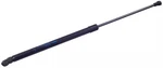 Genuine Nissan Lift Cylinder 90451-6MA0A. Fixed Price $129.48.