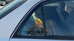 97-05 Century Passenger Right Rear Vent Window Back Door Glass With Frame Oem. Fixed Price $105.41.