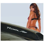 93-02 Pontiac Firebird Trans Formula WS6 Ram Air Hood Decals. Fixed Price $14.23.