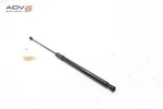 2021-2024 Lexus IS350 IS300 Hood Left Driver Side Shock Strut Lift Cylinder Oem. Fixed Price $31.99.