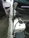 2016 Kia Optima Right Passenger Gas Strut Korea Built Vin. Fixed Price $70.44.