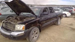 Dakota 2005 Hood Hinge 397393. Fixed Price $55.00.
