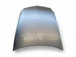 2005-2006 Acura Rl Hood Bonnet Engine Silver Metallic, 60100-SJA-A91ZZ, D028, Oe. Fixed Price $260.01.