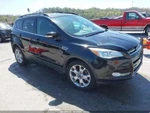 Used Hood Hinge Fits: 2013 Ford Escape Grade. Fixed Price $88.49.