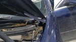 Malibu 2009 Hood Hinge 3842488. Fixed Price $25.00.