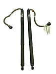 2022 2024 Lucid Air Oem Rh & Lh Front Trunk Lid Motor Shock Set P11-C36230-02. Fixed Price $255.00.