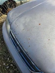 (tan) Hood Dings, Rusted Bottom Rough Fits 95-99 Avalon 362068. Fixed Price $360.00.