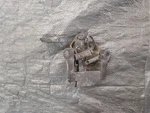 1999-2005 Mazda Miata MX5 Oem Hood Latch Locking Mechanism Nb 99-05 01 02. Fixed Price $32.40.