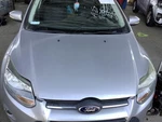 Used Hood Fits: 2013 Ford Focus Grade. Fixed Price $187.00.
