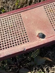 E7TZ15022A68A 1990 Ford F-250 Cowl. Fixed Price $109.99.