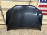 07-09 Hyundai Santa Fe Hood Dark Blue Oem (no Shipping) Local Pick Up Only. Fixed Price $339.72.