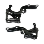 For Lexus NX200T 2015 2016 2017 Hood Hinge Driver And Passenger Side Pair. Fixed Price $75.31.